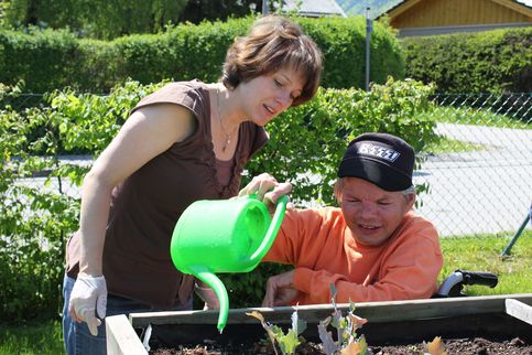 gartenarbeit