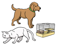 Auf dem Bild sehen sie einen Hund, eine Katze und einen Vogelkäfig.ere