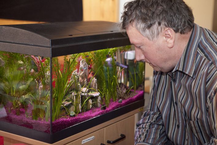 Sie sehen einen Mann mit Behinderung in sein Aquarium schauen