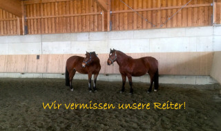 Ein kleines Lebenszeichen vom therapeutischen Reiten!