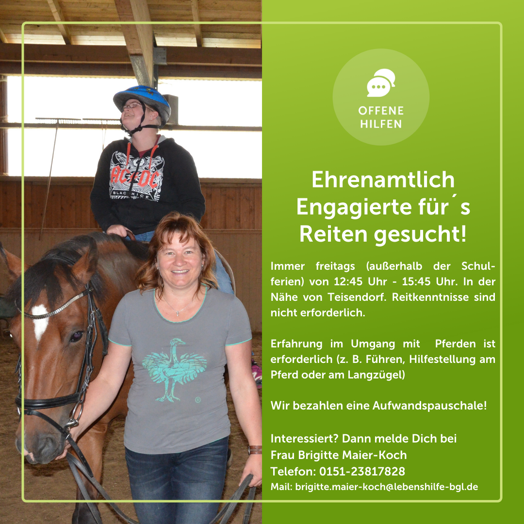 Wir suche ehrenamtlich Engagierte für unser Reitprojekt
