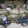 roba_Eselausflug